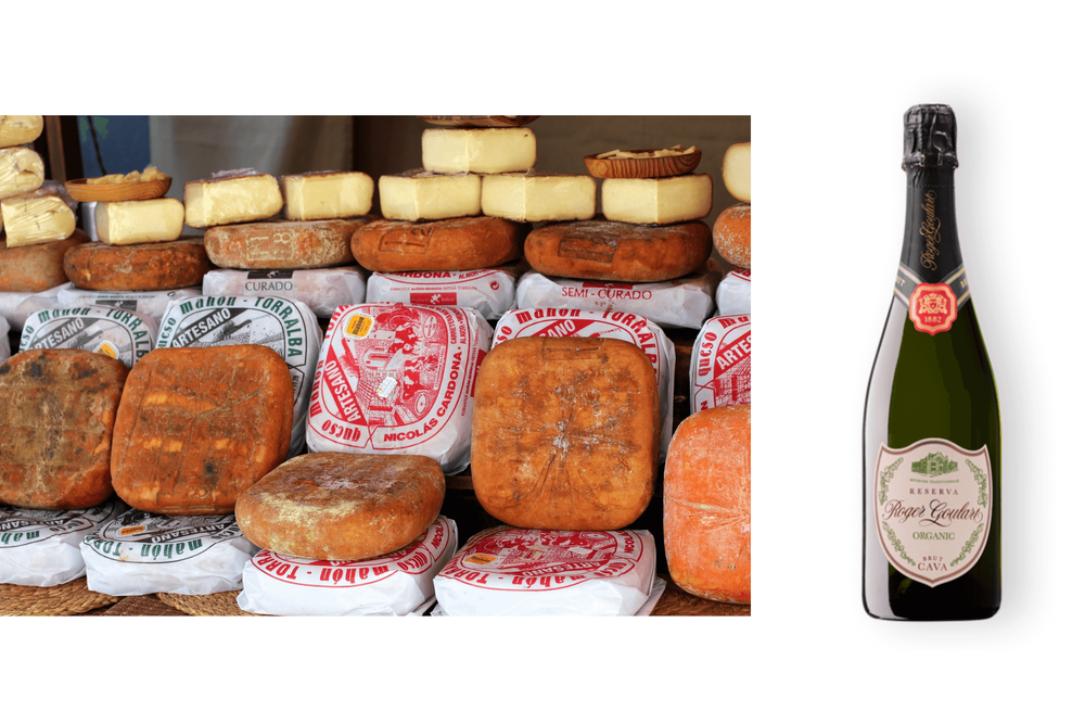 Mahon cheese and Roger Goulart Organic Cava
